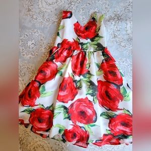 NWOT Girls size 6 Beautiful, Silky, Rose print dress. Zipper and sash at back.